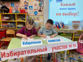 День молодого избирателя. День молодого избирателя.