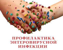Меры по профилактике энтеровирусной инфекции Меры по профилактике энтеровирусной инфекции.